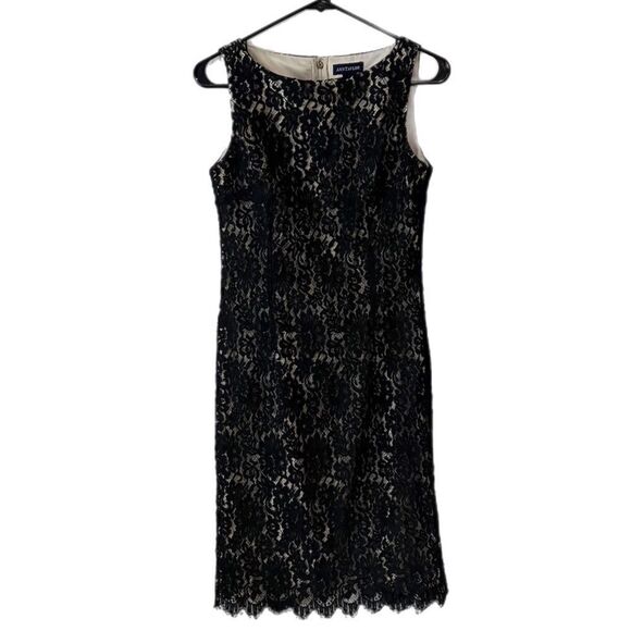 Ann Taylor Lace Sleeveless Dress - Picture 5 of 5
